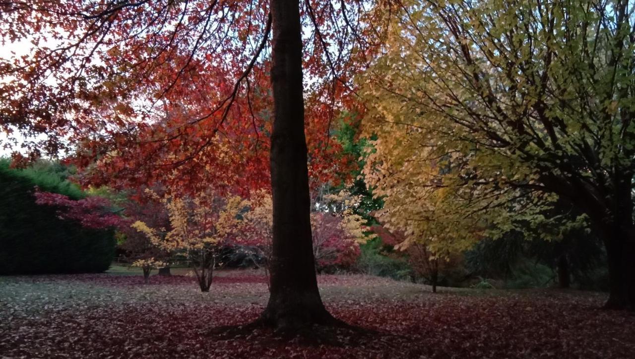 Waikuku Rose & Stream Retreat 아파트 외부 사진