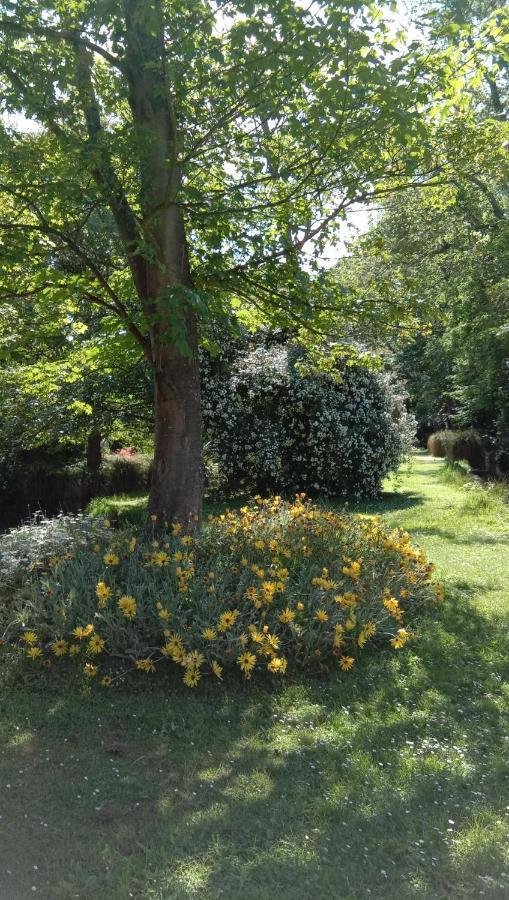 Waikuku Rose & Stream Retreat 아파트 외부 사진